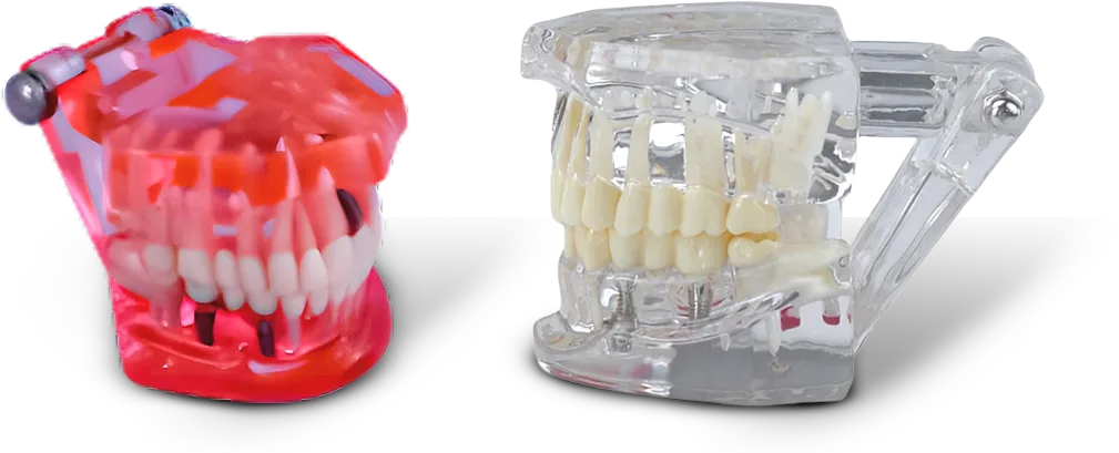 3D Patient Education Hover